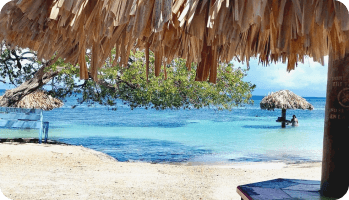 reviews de nuestros clientes